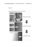 DEVICE OF PROCESSING TEMPERED GLASS, APPARATUS OF PROCESSING TEMPERED     GLASS AND METHOD OF USING DEVICE OF PROCESSING TEMPERED GLASS diagram and image