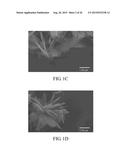 FERROUS PHOSPHATE POWDERS, LITHIUM IRON PHOSPHATE POWDERS FOR LI-ION     BATTERY, AND METHODS FOR MANUFACTURING THE SAME diagram and image