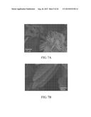 FERROUS PHOSPHATE POWDERS, LITHIUM IRON PHOSPHATE POWDERS FOR LI-ION     BATTERY, AND METHODS FOR MANUFACTURING THE SAME diagram and image