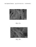 FERROUS PHOSPHATE POWDERS, LITHIUM IRON PHOSPHATE POWDERS FOR LI-ION     BATTERY, AND METHODS FOR MANUFACTURING THE SAME diagram and image