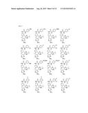 NOVEL RAF KINASE INHIBITORS diagram and image