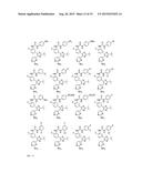 NOVEL RAF KINASE INHIBITORS diagram and image