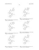 NOVEL RAF KINASE INHIBITORS diagram and image