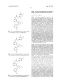 NOVEL RAF KINASE INHIBITORS diagram and image