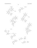 NOVEL RAF KINASE INHIBITORS diagram and image