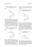 NOVEL RAF KINASE INHIBITORS diagram and image