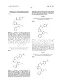 NOVEL RAF KINASE INHIBITORS diagram and image