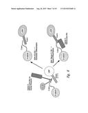 CBP/CATENIN ANTAGONISTS FOR ENHANCING ASYMMETRIC DIVISION OF SOMATIC STEM     CELLS diagram and image