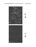 CBP/CATENIN ANTAGONISTS FOR ENHANCING ASYMMETRIC DIVISION OF SOMATIC STEM     CELLS diagram and image