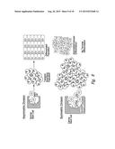 CBP/CATENIN ANTAGONISTS FOR ENHANCING ASYMMETRIC DIVISION OF SOMATIC STEM     CELLS diagram and image