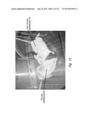 CBP/CATENIN ANTAGONISTS FOR ENHANCING ASYMMETRIC DIVISION OF SOMATIC STEM     CELLS diagram and image