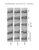 CBP/CATENIN ANTAGONISTS FOR ENHANCING ASYMMETRIC DIVISION OF SOMATIC STEM     CELLS diagram and image