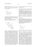 CBP/CATENIN ANTAGONISTS FOR ENHANCING ASYMMETRIC DIVISION OF SOMATIC STEM     CELLS diagram and image