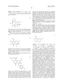 CBP/CATENIN ANTAGONISTS FOR ENHANCING ASYMMETRIC DIVISION OF SOMATIC STEM     CELLS diagram and image