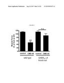 NOVEL GABAA AGONISTS AND METHODS OF USING TO CONTROL AIRWAY     HYPERRESPONSIVENESS AND INFLAMMATION IN ASTHMA diagram and image