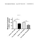 NOVEL GABAA AGONISTS AND METHODS OF USING TO CONTROL AIRWAY     HYPERRESPONSIVENESS AND INFLAMMATION IN ASTHMA diagram and image