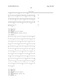 MUTANT APOPROTEIN OF PHOTOPROTEIN WITH LOW CALCIUM SENSITIVITY diagram and image