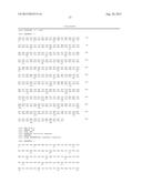 MUTANT APOPROTEIN OF PHOTOPROTEIN WITH LOW CALCIUM SENSITIVITY diagram and image