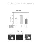 COMPOSITIONS AND METHODS RELATED TO DISEASES ASSOCIATED WITH DEPOSITS OF     AMYLOID, TAU, AND ALPHA-SYNUCLEIN diagram and image