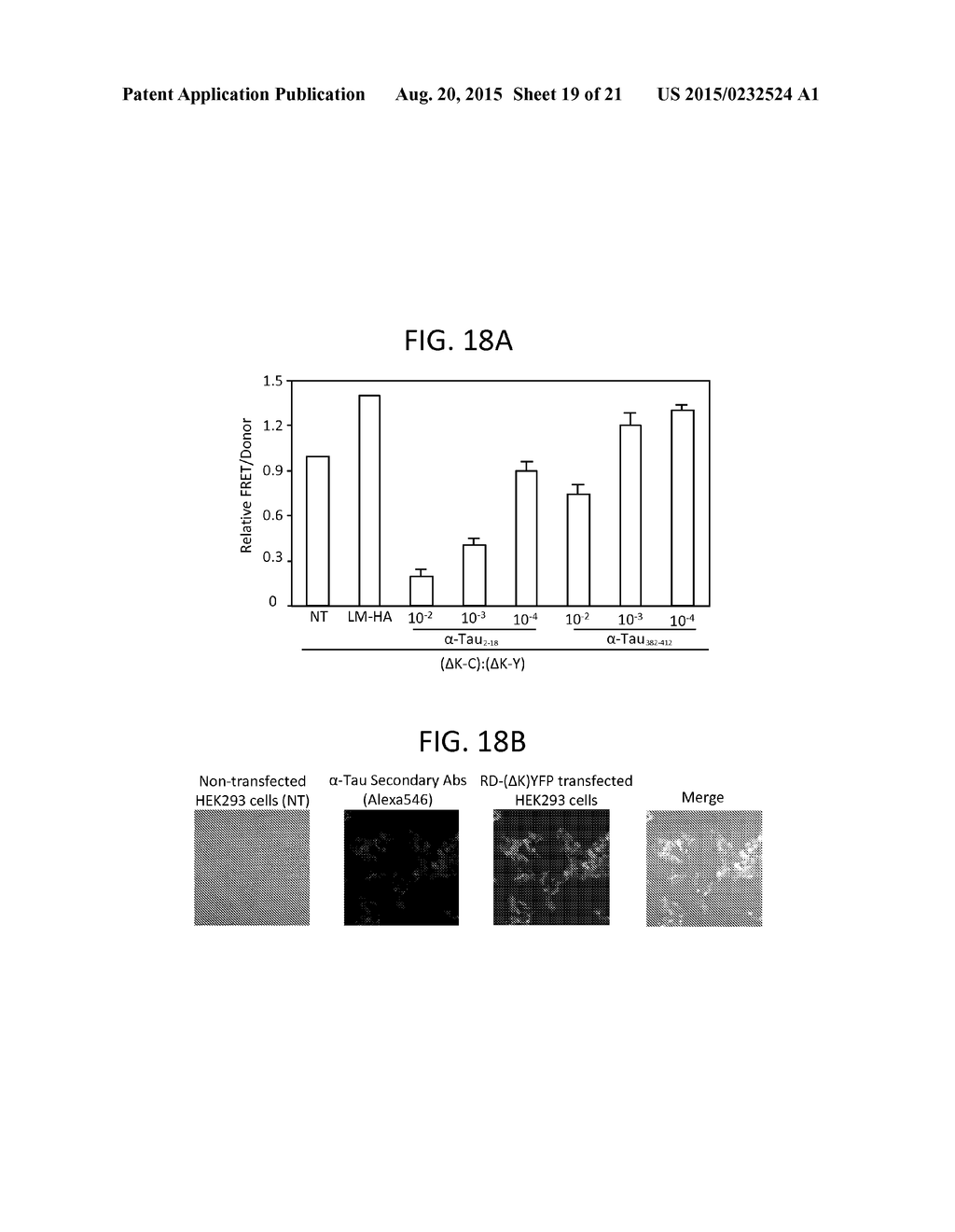 COMPOSITIONS AND METHODS RELATED TO DISEASES ASSOCIATED WITH DEPOSITS OF     AMYLOID, TAU, AND ALPHA-SYNUCLEIN - diagram, schematic, and image 20