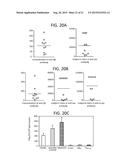 COMPOSITIONS AND METHODS RELATED TO DISEASES ASSOCIATED WITH DEPOSITS OF     AMYLOID, TAU, AND ALPHA-SYNUCLEIN diagram and image