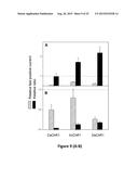 HIGH-EFFICIENCY, SODIUM -SPECIFIC, BLUE-SHIFTED CHANNELRHODOPSINS diagram and image