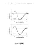 HIGH-EFFICIENCY, SODIUM -SPECIFIC, BLUE-SHIFTED CHANNELRHODOPSINS diagram and image