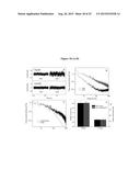 HIGH-EFFICIENCY, SODIUM -SPECIFIC, BLUE-SHIFTED CHANNELRHODOPSINS diagram and image