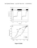 HIGH-EFFICIENCY, SODIUM -SPECIFIC, BLUE-SHIFTED CHANNELRHODOPSINS diagram and image