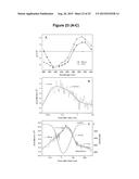 HIGH-EFFICIENCY, SODIUM -SPECIFIC, BLUE-SHIFTED CHANNELRHODOPSINS diagram and image