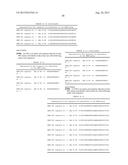 AMINO ACID SEQUENCES DIRECTED AGAINST HER2 AND POLYPEPTIDES COMPRISING THE     SAME FOR THE TREATMENT OF CANCERS AND/OR TUMORS diagram and image