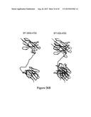 AMINO ACID SEQUENCES DIRECTED AGAINST HER2 AND POLYPEPTIDES COMPRISING THE     SAME FOR THE TREATMENT OF CANCERS AND/OR TUMORS diagram and image