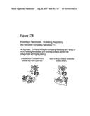 AMINO ACID SEQUENCES DIRECTED AGAINST HER2 AND POLYPEPTIDES COMPRISING THE     SAME FOR THE TREATMENT OF CANCERS AND/OR TUMORS diagram and image