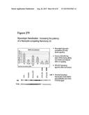 AMINO ACID SEQUENCES DIRECTED AGAINST HER2 AND POLYPEPTIDES COMPRISING THE     SAME FOR THE TREATMENT OF CANCERS AND/OR TUMORS diagram and image