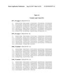 ANTI-CD38 HUMAN ANTIBODIES AND USES THEREFOR diagram and image