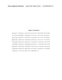 ANTI-CD38 HUMAN ANTIBODIES AND USES THEREFOR diagram and image