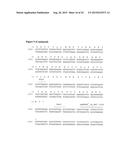 ANTI-CD38 HUMAN ANTIBODIES AND USES THEREFOR diagram and image