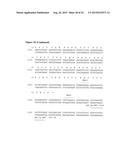 ANTI-CD38 HUMAN ANTIBODIES AND USES THEREFOR diagram and image