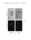 CARBON-BASED FLUORESCENT TRACERS AS OIL RESERVOIR NANO-AGENTS diagram and image