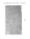 CARBON-BASED FLUORESCENT TRACERS AS OIL RESERVOIR NANO-AGENTS diagram and image