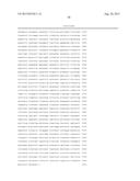 RECOMBINANT SEROTYPE 5 (Ad5) ADENOVIRAL VECTORS diagram and image