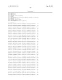 RECOMBINANT SEROTYPE 5 (Ad5) ADENOVIRAL VECTORS diagram and image