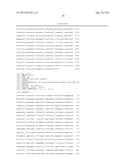 RECOMBINANT SEROTYPE 5 (Ad5) ADENOVIRAL VECTORS diagram and image