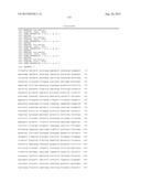 RECOMBINANT SEROTYPE 5 (Ad5) ADENOVIRAL VECTORS diagram and image