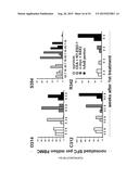 RECOMBINANT SEROTYPE 5 (Ad5) ADENOVIRAL VECTORS diagram and image