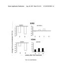 RECOMBINANT SEROTYPE 5 (Ad5) ADENOVIRAL VECTORS diagram and image