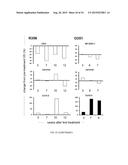 RECOMBINANT SEROTYPE 5 (Ad5) ADENOVIRAL VECTORS diagram and image