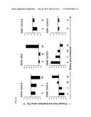 RECOMBINANT SEROTYPE 5 (Ad5) ADENOVIRAL VECTORS diagram and image