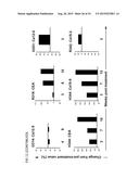 RECOMBINANT SEROTYPE 5 (Ad5) ADENOVIRAL VECTORS diagram and image