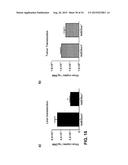 RECOMBINANT SEROTYPE 5 (Ad5) ADENOVIRAL VECTORS diagram and image